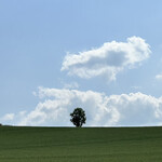 エゾアムプリン製造所 - 