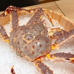 かにじぇんぬ 北のはなれ - 