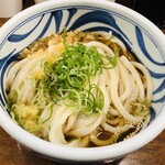 トウキョウライトブルー ホンゴウスリー - 