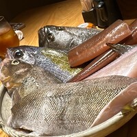 魚匠 銀平 心斎橋店 - 