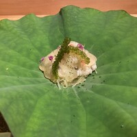 小熊 - 