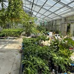 又吉コーヒー園 - 