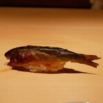 鮨 一幸 - 鮎 握り