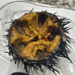 寿司・割烹 鈴政 - 