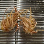 てんぷら 下村 - クルマエビ（足）