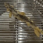 てんぷら 下村 - チアユ