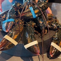 PLEIN 銀座本店 - 