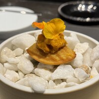 CIRPAS - 