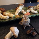 柚木元 - 今年は例年より２週間以上早く出たそうです