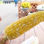 嶋田農園 - ゆでトウキビ400円