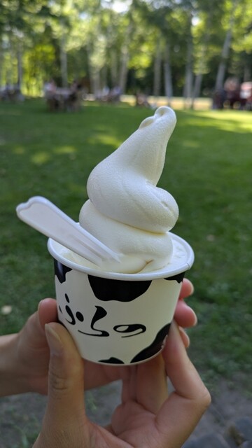 富良野チーズ工房 アイスミルク工房（フラノチーズコウボウ アイスミルクコウボウ） - 富良野（ジェラート・アイスクリーム）の写真