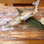 天鮨 - 