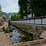 蕎麦正 なかや - おまけ画像/飛騨古川の町並み・どでかい鯉が一杯泳いでます
