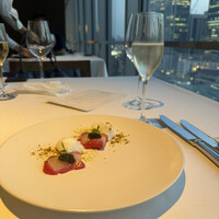 XEX TOKYO / Salvatore Cuomo Bros. - 
