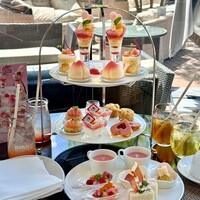 Lounge & Dining G - 
