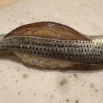 鮨 龍次郎 - 小肌　　強めの〆が夏に合う