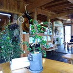 イタリアンジェラート ドルチェ - 