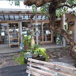 イタリアンジェラート ドルチェ - 