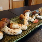 柚木元 - 今年の松茸～（以下２５枚２０１４年９月）