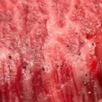 柳橋焼にく わにく - 