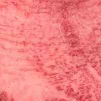 柳橋焼にく わにく - 