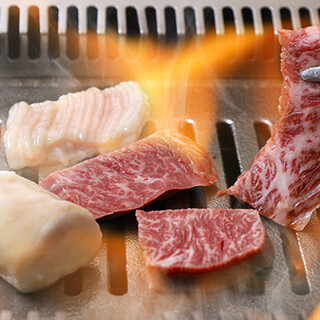 国産ホルモンやA5等級肉など厳選素材を自家製タレで堪能