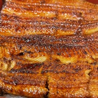 満寿家 - うな重 上(4,950円)