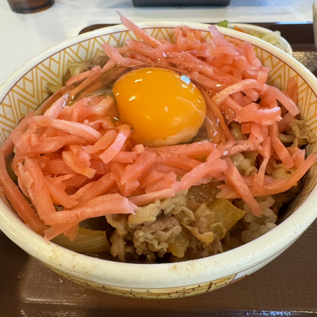 すき家 どんぶり 2個セット すき家どんぶり大盛・並盛2個セット