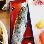 休暇村 - ヤマメ