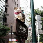 支那麺 はしご - 銀座のど真ん中に”ねこ”