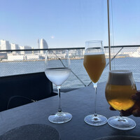 International cuisine subzero - 