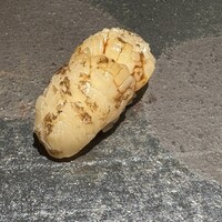 鮨 無垢/鮨 白銀 - 