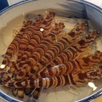 日本料理 別府 廣門 - 車海老