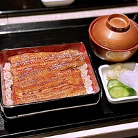 うなぎ 目白ぞろ芽 - 