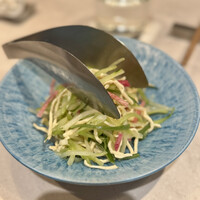 CINA New Modern Chinese - 