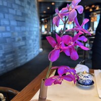 ヘイフンテラス - 
