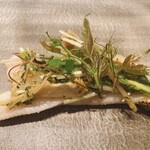 カンテサンス - 