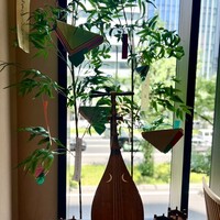 東京竹葉亭 南御堂店 - 毎月、装飾をかえてらっしゃるそう