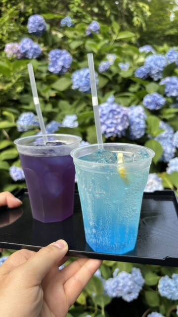 秋田・男鹿市の隠れ家カフェ『あじさいカフェ』- 心温まるメニューとくつろぎ空間