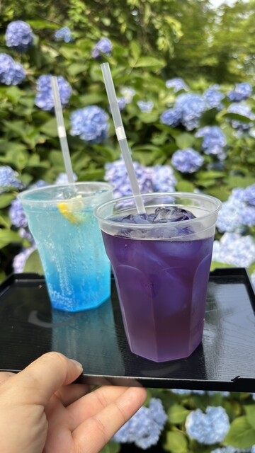 あじさいカフェ - 男鹿市その他（カフェ）の写真