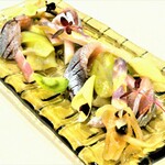 イタリアンレストラン Zucca - イワシのカルパッチョ 初夏の野菜を添えて