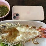 Baan Mai Rim Nam - iPhone 16 Plus