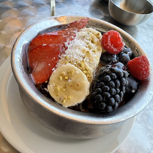 ペットと散歩 犬散歩 - Search / X