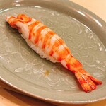 木挽町 とも樹 - 車海老です。トカラ列島の地震影響で爆上がり中