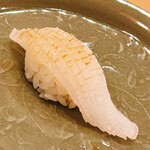 木挽町 とも樹 - 障泥烏賊です。旬のど真ん中