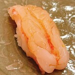 木挽町 とも樹 - 佐渡のボタン海老。太い！