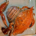 綿半 - 蒸して鮮やか