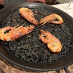 アロセリア ラ パンサ - 