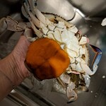 綿半 - ずっしりはずっしり外子の重み？(笑)