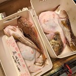 綿半 - 雑魚盛り合わせ。